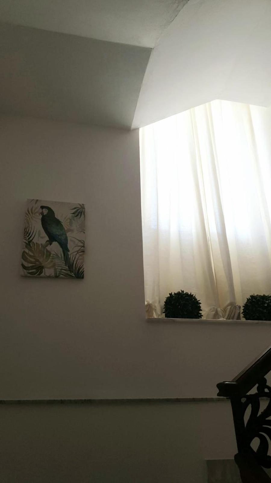 Mia'S Rooms ノート エクステリア 写真